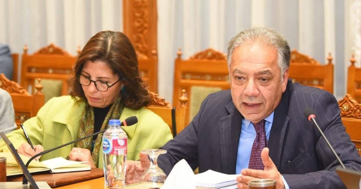 وزير الخارجية يفتتح الاجتماع الأول لمجلس أمناء الوكالة المصرية للشراكة من أجل التنمية