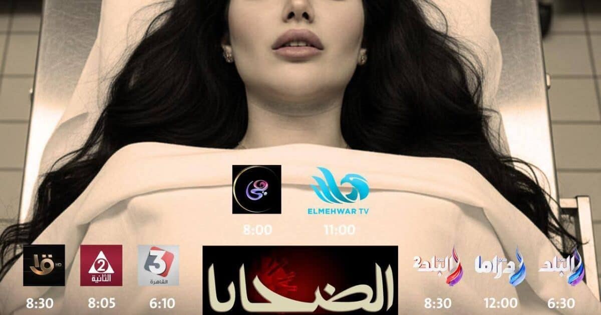 بلال صبري يشعل الجدل: “طبعا دول مش فارق معاهم مين نمبر وان علشان كلهم ميتن رداً على محمد سامي وياسمين عبد العزيز”