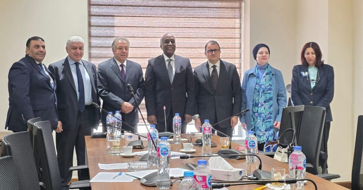 إفريقيا في قلب التحرك المصري.. والبرلمان يدعم استراتيجية الدولة الجديد