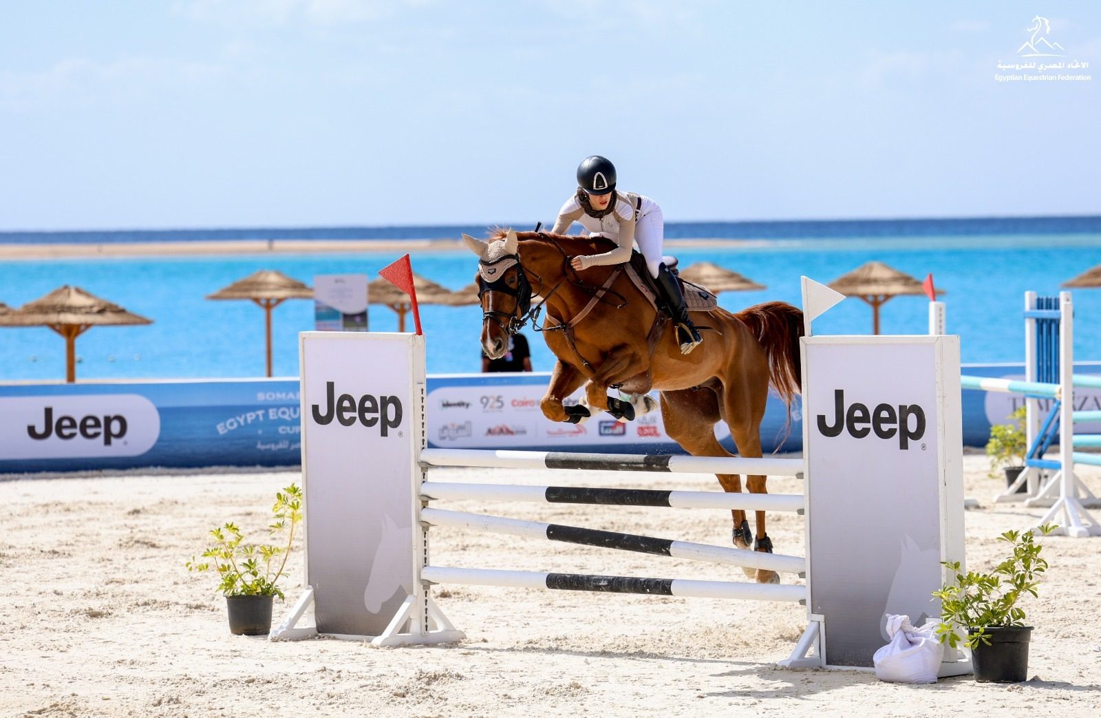 Jeep®️، وAlfa Romeo ترعيان بطولة “كأس مصر للفروسية 2026” في سوما باي وتعرض طرازاتهما المميزة