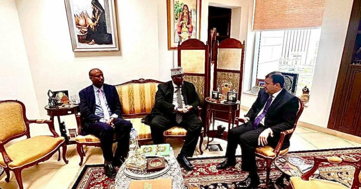 سفير الصومال بالقاهرة: نذل قصارى جهودنا للإفراج عن البحارة المصريين المختطفين بالتنسيق مع مصر