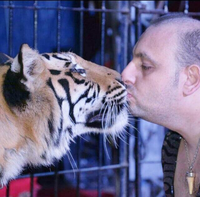 بعد نجاح جولته بالساحل الشمالي والمقطم.. سيرك “فانتزيا الإيطالى” فى 6 أكتوبر