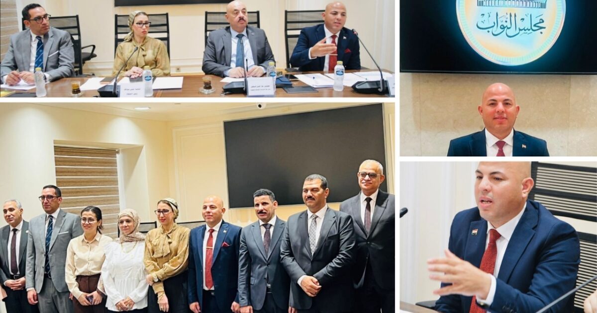 هيثم حسين أمام «مشروعات النواب»: 12 محورًا استراتيجيًا لتشغيل المجمعات الصناعية ودعم المشروعات