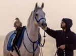 محمد العياف ونظرية “المرح التعليمي”.. كيف جمع بين الخيل والمعرفة؟