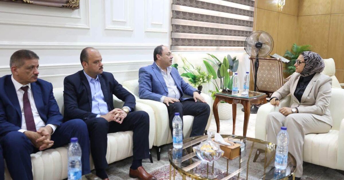 رئيس هيئة تنمية الصعيد ومحافظ الوادي الجديد يبحثان فرص التعاون ويتفقدان مشروع تطوير مصنع تدوير المخلفات الزراعية بمدينة الخارجة