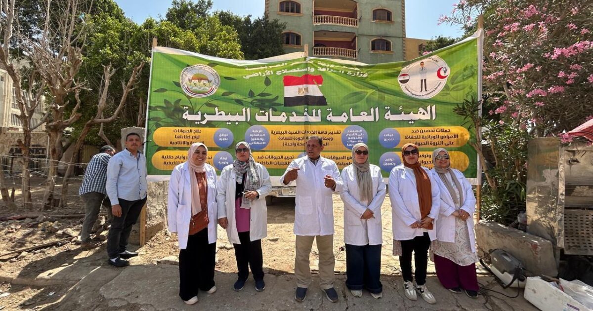 منظومة متكاملة لتطوير وتنظيم خدمات ركوب الخيل والجمال بمنطقة أهرامات الجيزة،