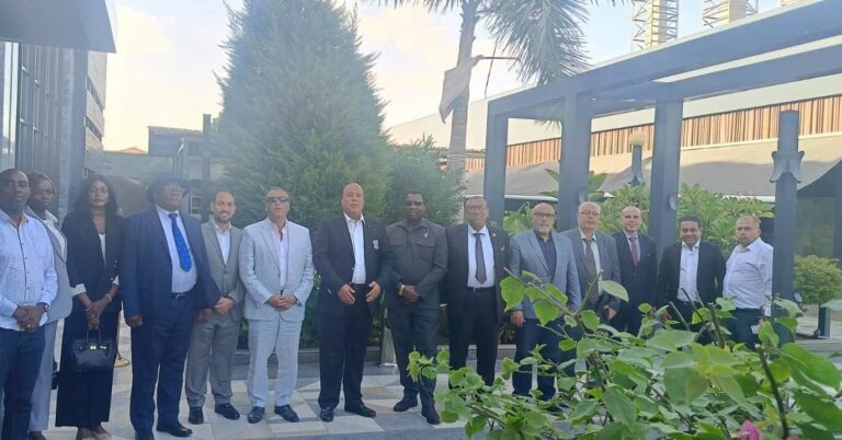 أيمن العشري يبحث مع سفير ناميبيا ووفد دبلوماسي أفريقي فرص التوسع الصناعي والتصديري بالقارة